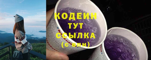 бутират Каменка