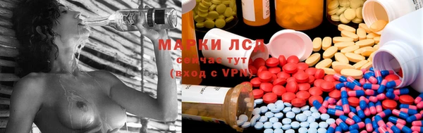 стафф Каменск-Шахтинский