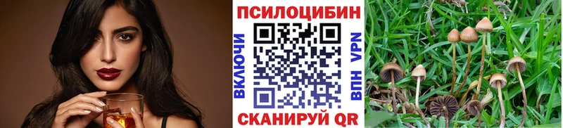 Галлюциногенные грибы прущие грибы  Купить  Буй 