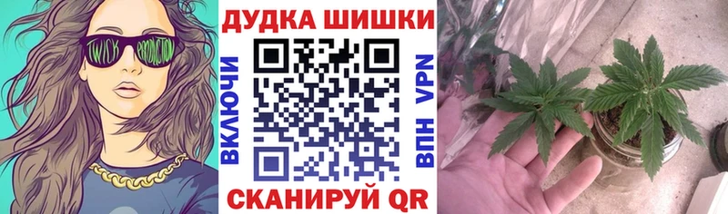 Бошки Шишки конопля  Купить  Буй 